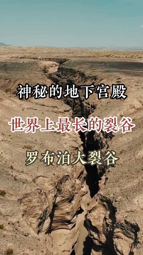裂谷中的房子哪里能下载？分享这些平台轻松获取！