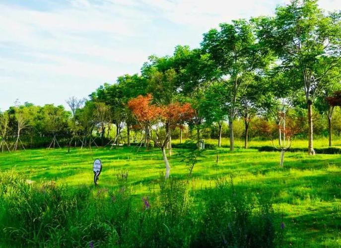 如何提高夏日小公园的厕所绅士游戏体验（新手必备实用指南）