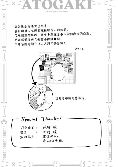 野猫汉化版新版本怎么玩？更新避坑指南来了