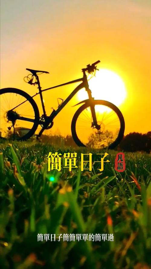 简单的日子完整版下载地址！附安装教程一步搞定