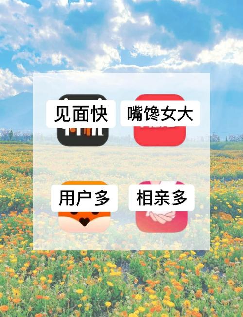 特殊兴趣交友官方正式版下载最新版（用户真实使用体验反馈）