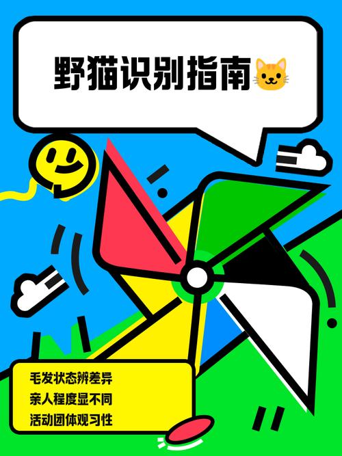 野猫官网怎么玩？新手必看操作全流程攻略