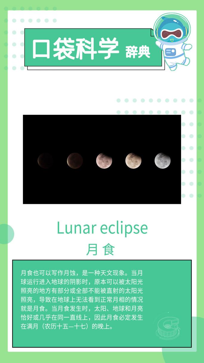 月食版本大全怎么用？新手必备实用指南！