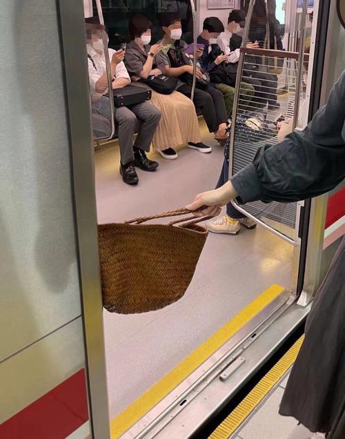 满员电车一之宫美月编杨过游戏技巧分享？(高手通关秘籍必看！)