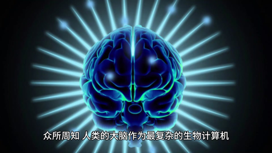 青色大脑汉化版最新更新内容怎么下载？(简单教程轻松安装！)