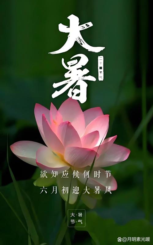 最热的夏天版本大全如何选对？(新人避坑必看指南)
