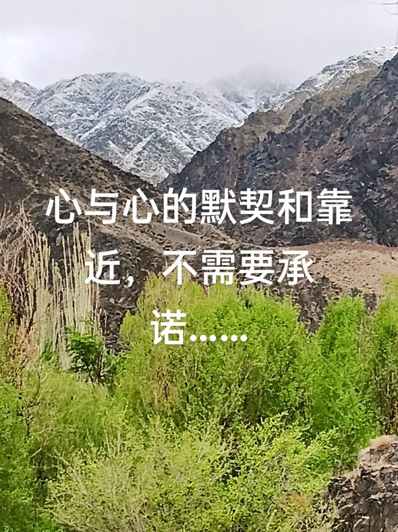 一个最好不要兑现的承诺安卓怎么玩？(新手5个技巧轻松上手)