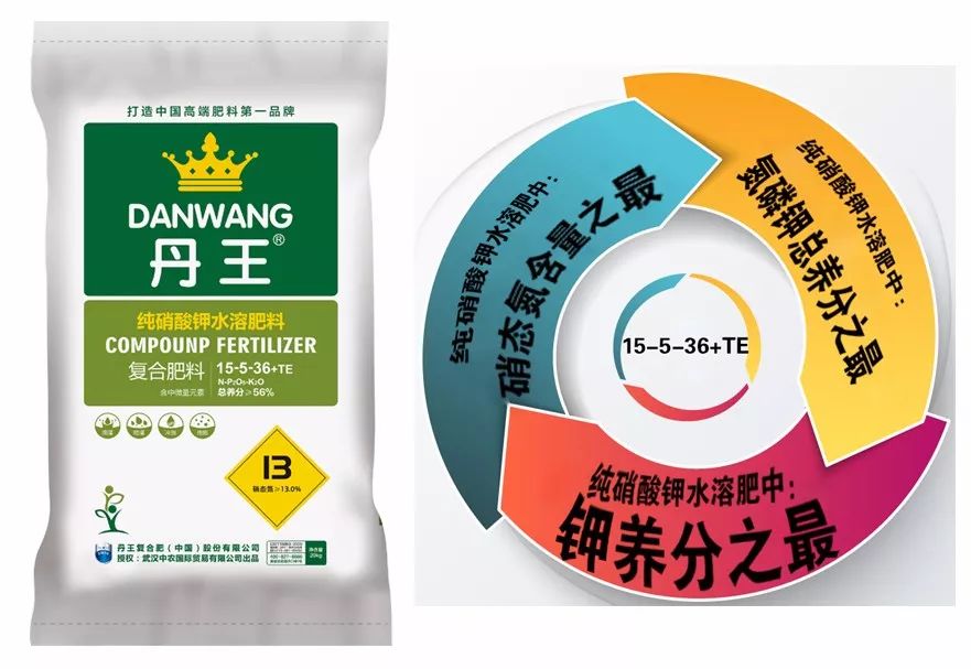 丹王V0.24资源怎么刷？获取稀有材料最优路径！