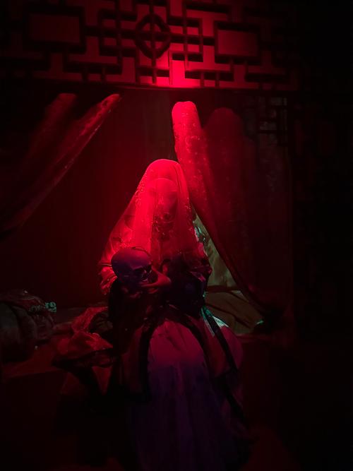 红色房间杨过游戏怎么玩？新手必备通关技巧分享！