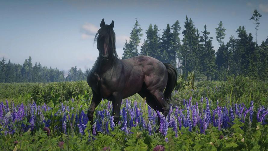 种马V0.11绅士游戏如何通关？详细通关步骤解析