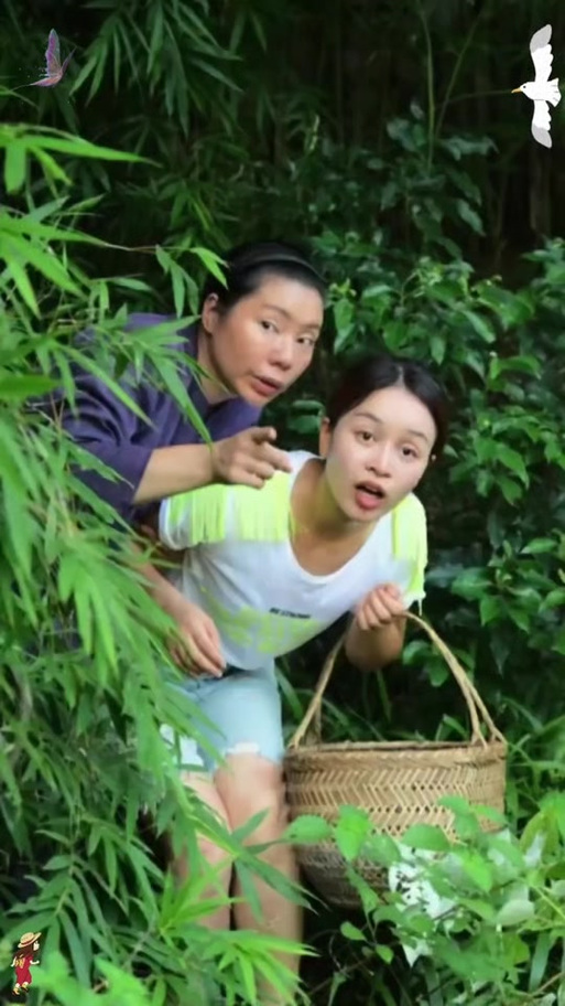 索尼娅的乡村生活最新评价怎么样（真实用户经验分享）
