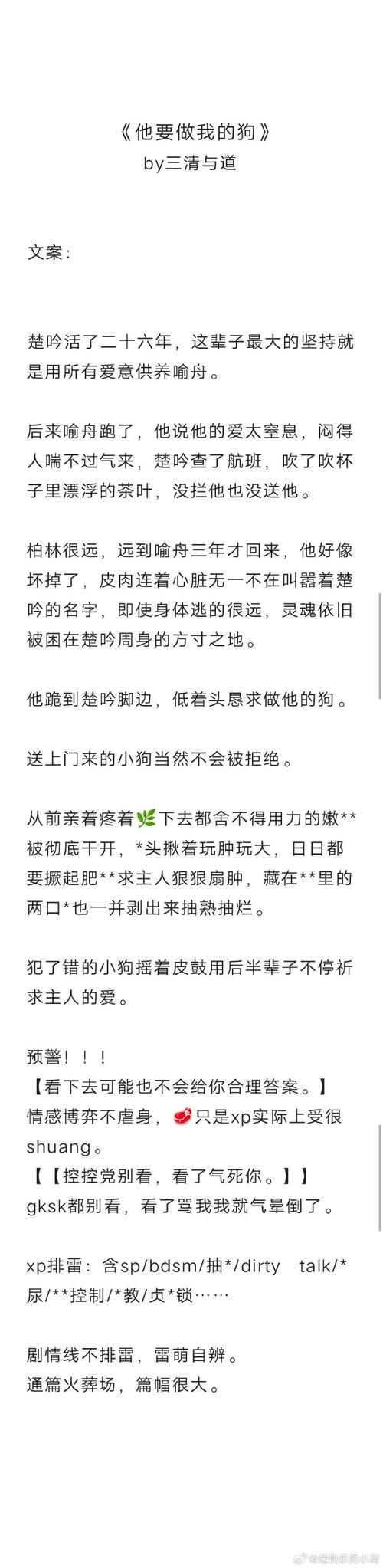我的宾博梦如何下载？这里有超详细的步骤教你轻松搞定！