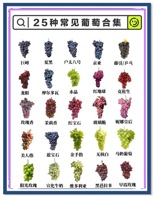 葡萄成熟时下载地址怎么找？5种方法轻松获取资源