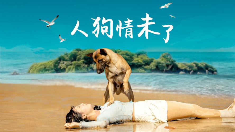 人狗情未了在哪下载？热门平台免费看的方法详解！