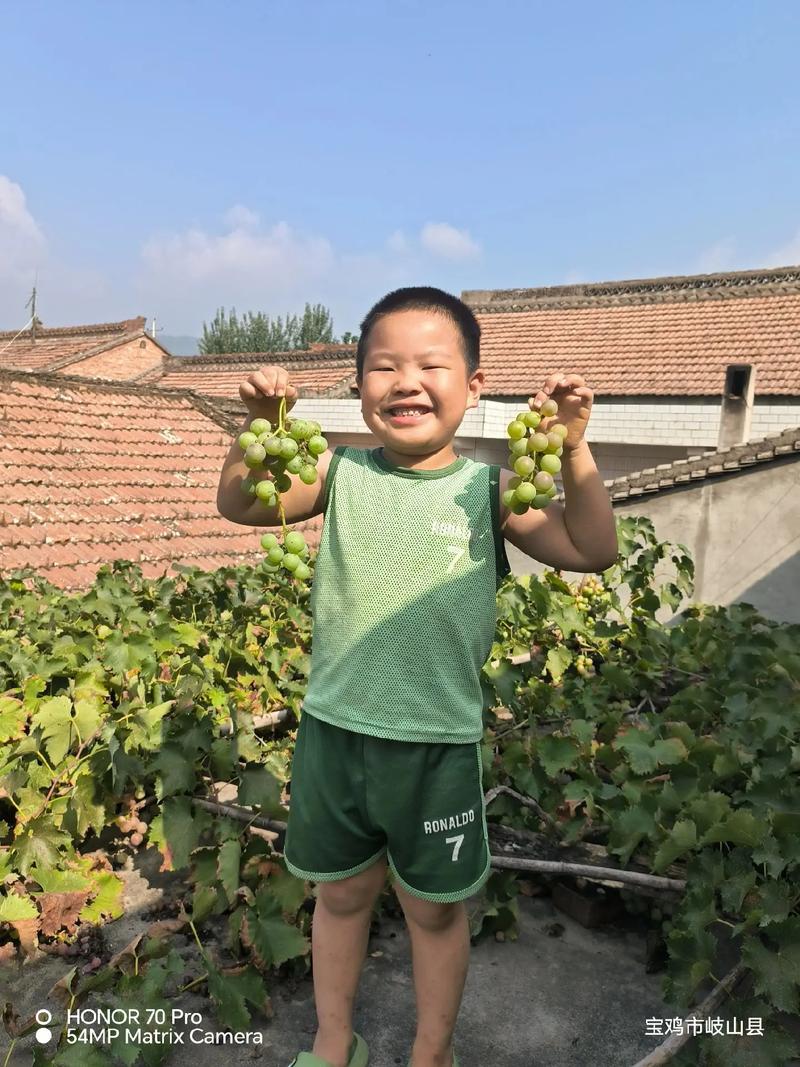 乡村生活的快乐暑假快速入门？最新版本三步搞定秘诀！