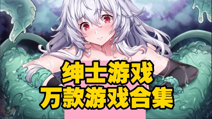 影之奠绅士游戏是什么？(新手必备入门详细解说！)