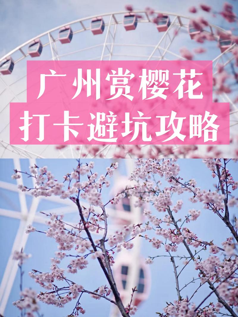 红樱花馆最新避坑怎么选？(老司机教你绕过雷区！)
