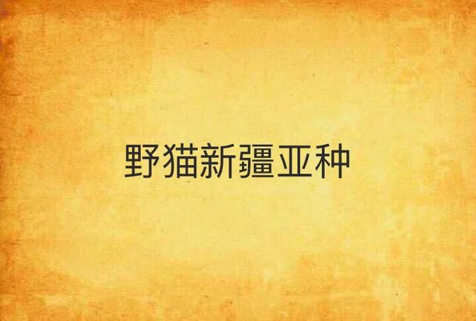 野猫官方正式版哪里下载安全？这几个渠道避免病毒风险