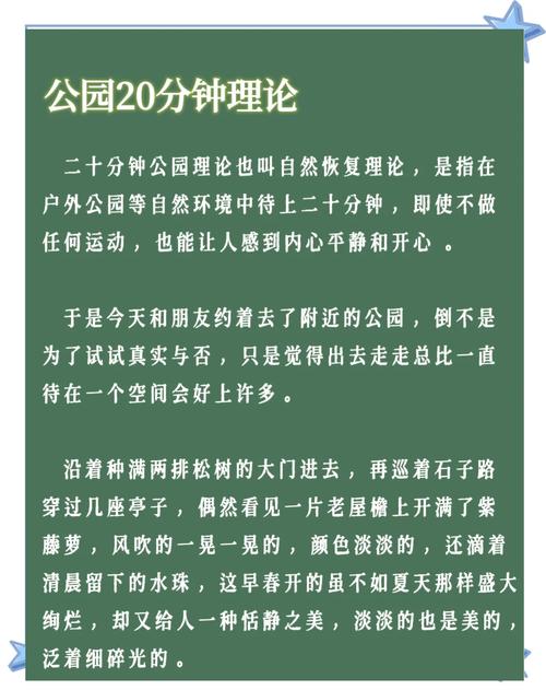 如何提高夏日小公园的厕所绅士游戏体验（新手必备实用指南）