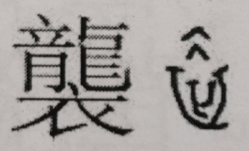 袭最新是什么内容？了解最新资讯从这里开始！