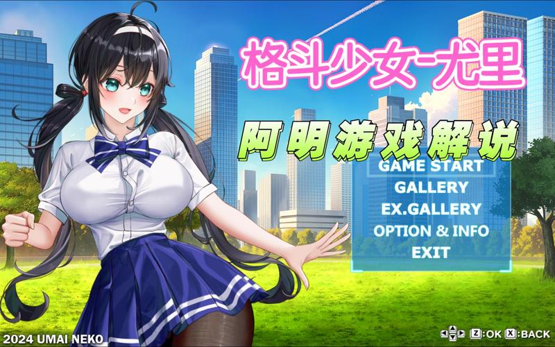 绅士游戏DLC全吗?实测V1.6.2.322版本内容解析!