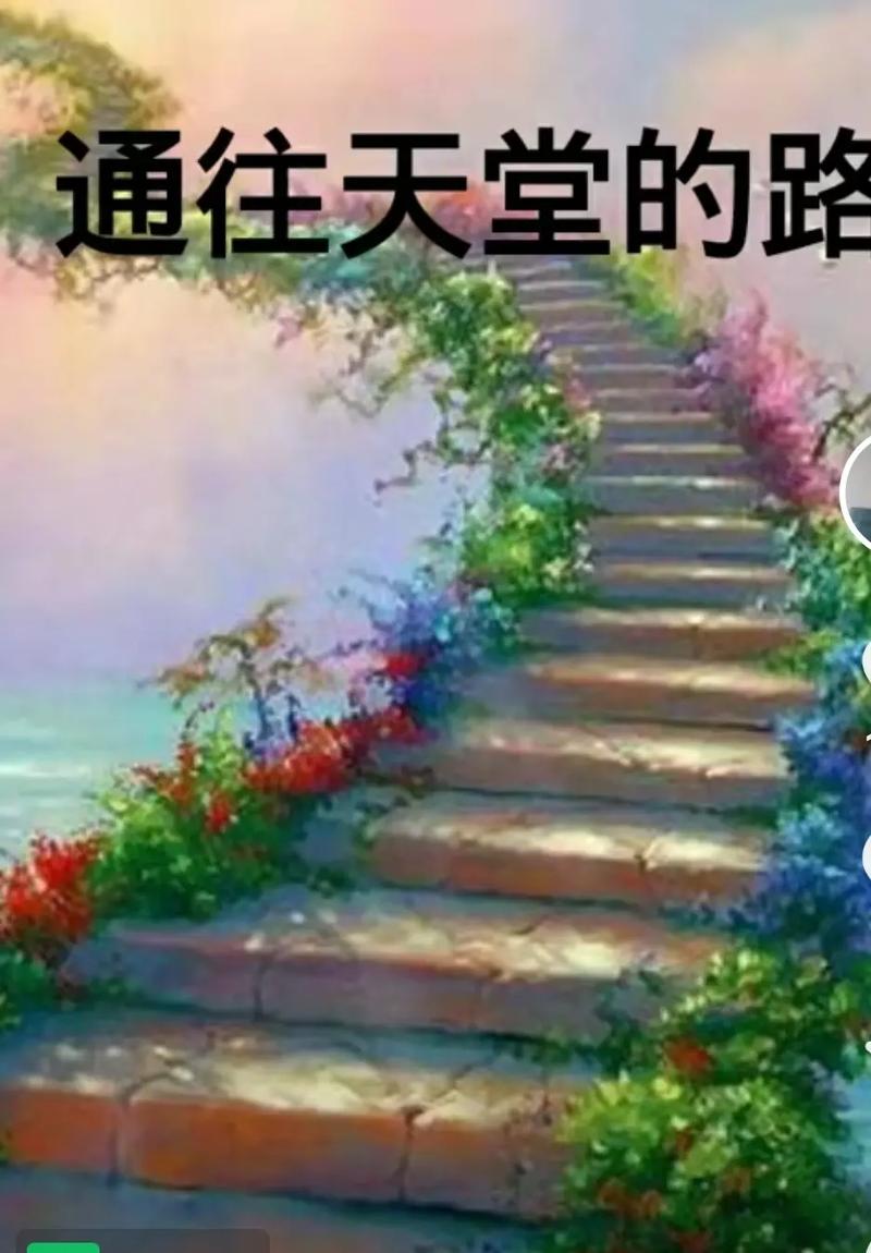 通往天堂的道路最新版本玩家评价？真实试用体验揭秘！