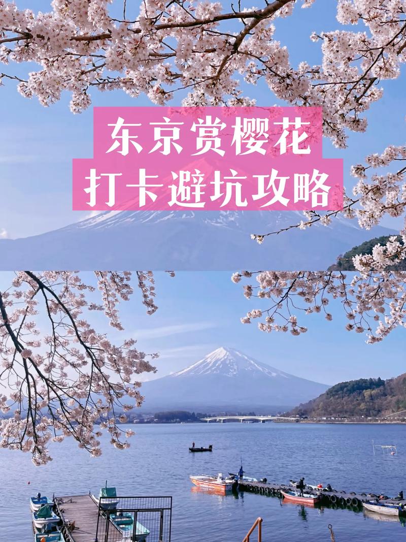 红樱花馆最新避坑怎么选？(老司机教你绕过雷区！)