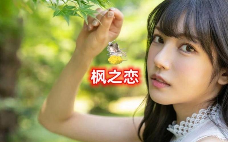 枫之恋安卓汉化版玩不了怎么办？一招搞定闪退问题