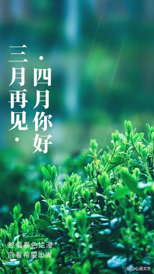 jinricp3月4日正式版在哪下载？最新下载地址来了！