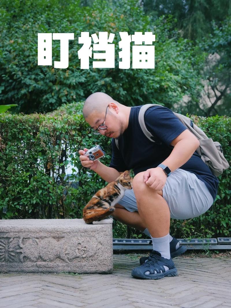 盯档猫更新地址哪个好用?实测对比选最佳选择!