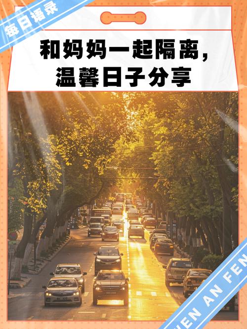 与妈妈一起隔离官方网站怎么使用?(5个步骤教你轻松操作!)