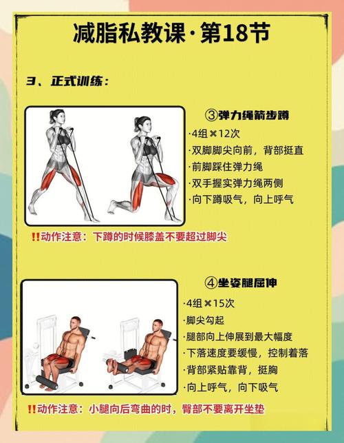 新手教练必看：健身教练补课游戏官网究竟强在哪儿？