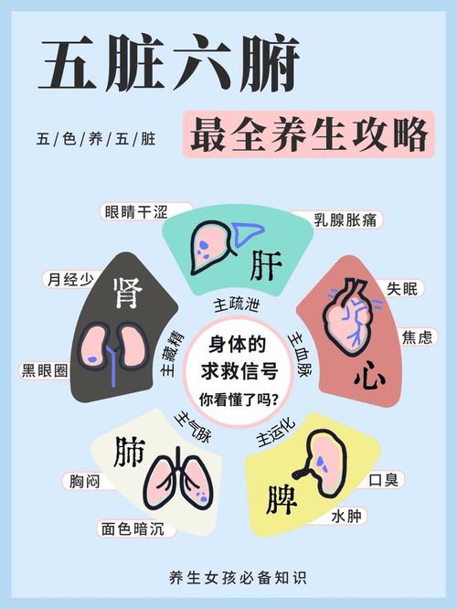 ドキドキセクハラ健康診断游戏下载效果怎么样？玩家真实分享评测！