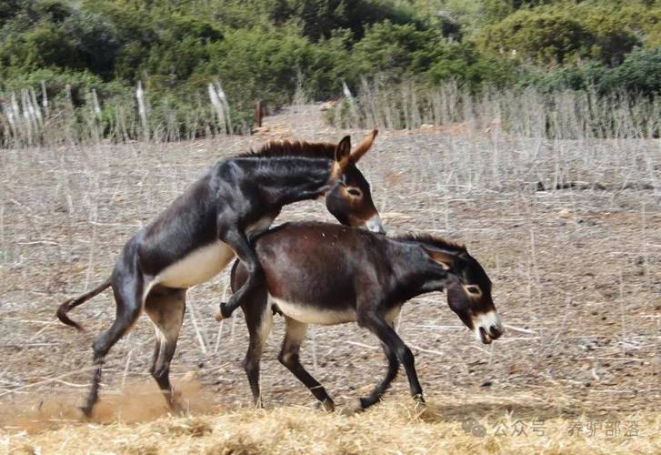 配种露出之被夺走衣服的世界游戏下载热点在哪？（最新资源免费获取）