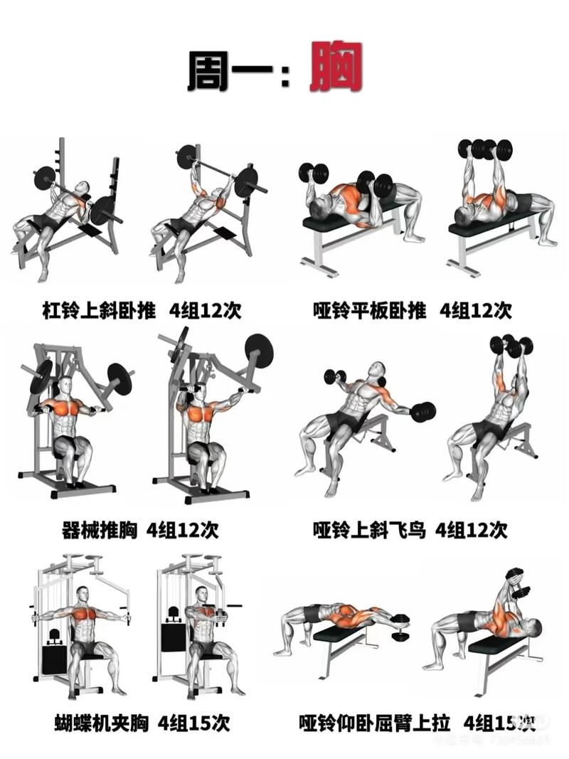 新手教练必看：健身教练补课游戏官网究竟强在哪儿？