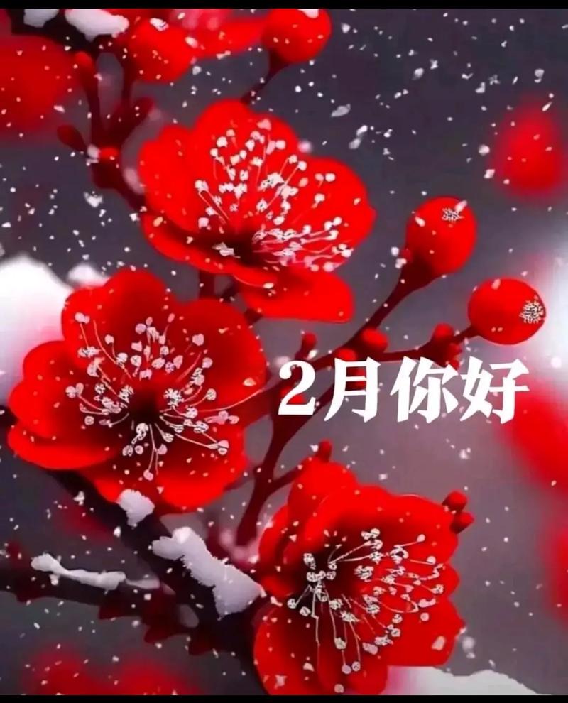 jinricp2月28日游戏攻略怎么玩？掌握3个技巧轻松过关！