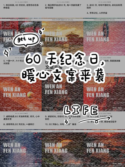 我们的60天官网怎么做更好？(5个实用改进方法大公开)