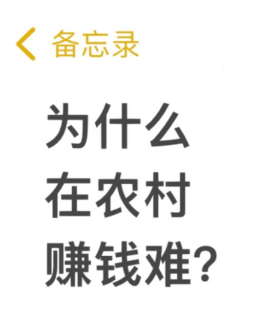 回到农村版本大全靠谱吗？真实体验避坑指南！