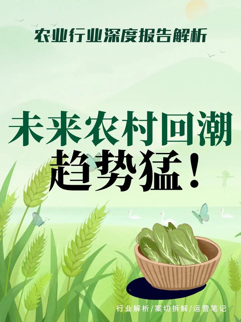 回到农村最新平台推荐？比较主流平台快速找资源