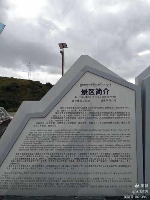 心灵旅达更新地址使用技巧？(提升访问效率建议)