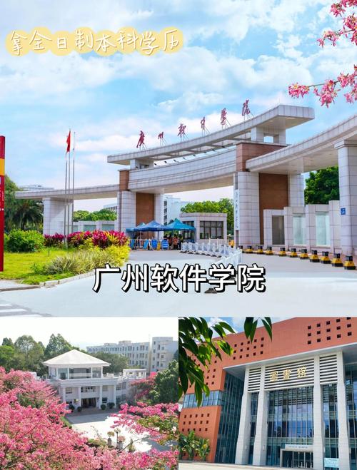 H软件学院哪个版本好用？实测推荐这三款最实用