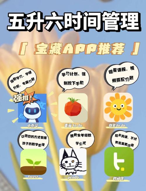 暑假在哪下载好用APP？(盘点5款实用工具高效又省心！)