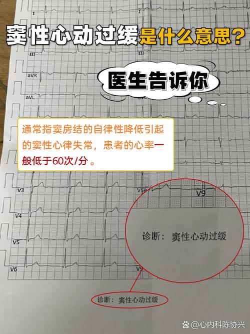 心跳!性骚扰健康诊断官网是什么?最新服务全揭秘!