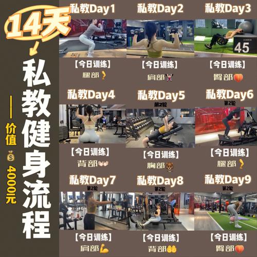 私人教练游戏介绍新手指南？专家教你高效开启训练！