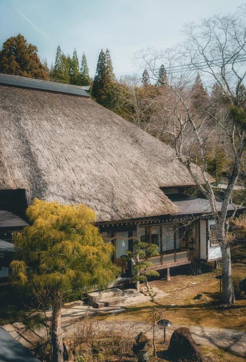 手机怎么上武井之旅官网?4步教你快速订门票