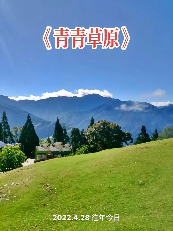 青青草原版本合集哪个好?3款实测对比推荐