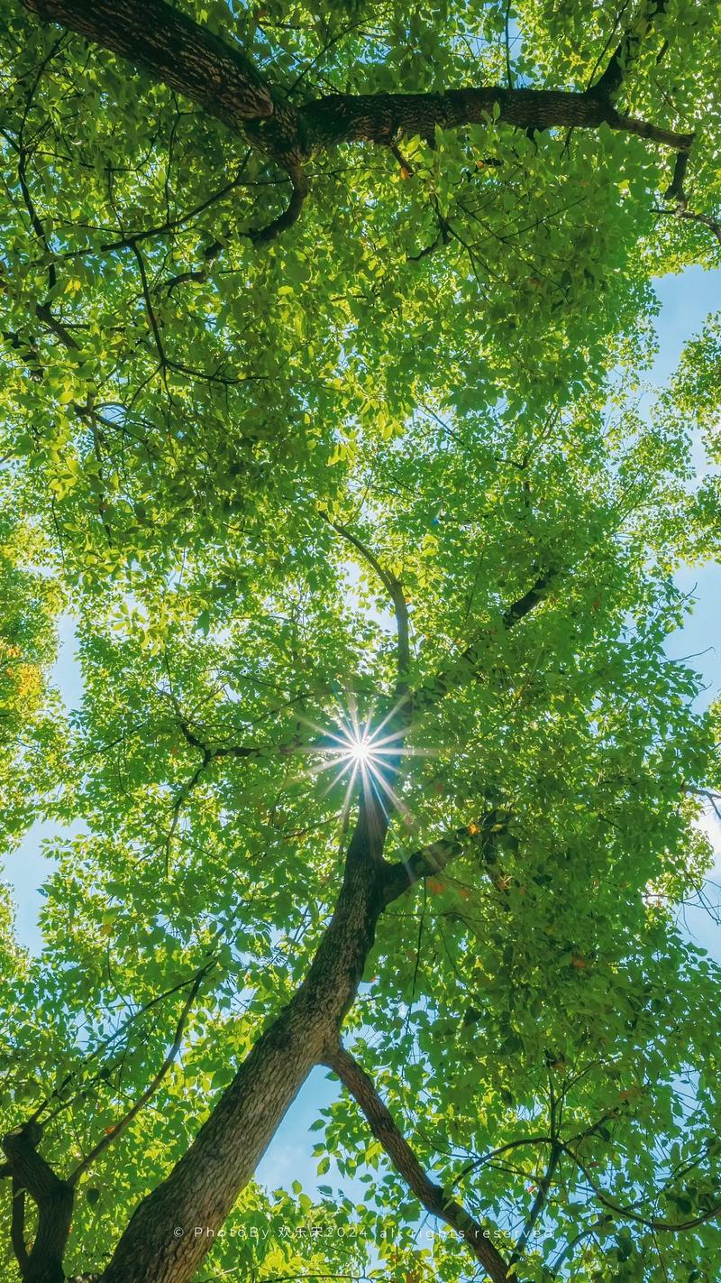 阳光下的真实版本大全有哪些版本？对比推荐最适合你的！