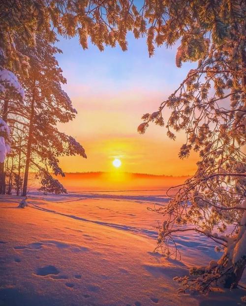 阳光下的真实版本大全有哪些版本？对比推荐最适合你的！