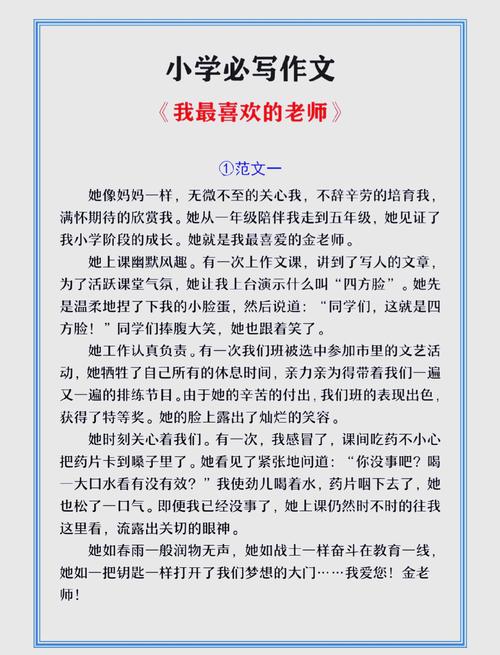 最喜欢的老师版本大全如何选择?行内人避坑指南!