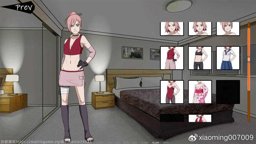 忍者后宫第1章下载地址在哪？(最新V1.11C汉化版资源更新！)